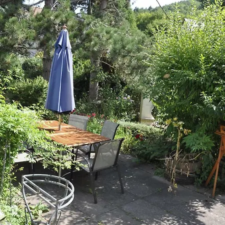 La Maison De Marie * Soultzbach les Bains